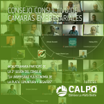 2° SESIÓN DEL CONSEJO CONSULTIVO DE CÁMARAS EMPRESARIALES